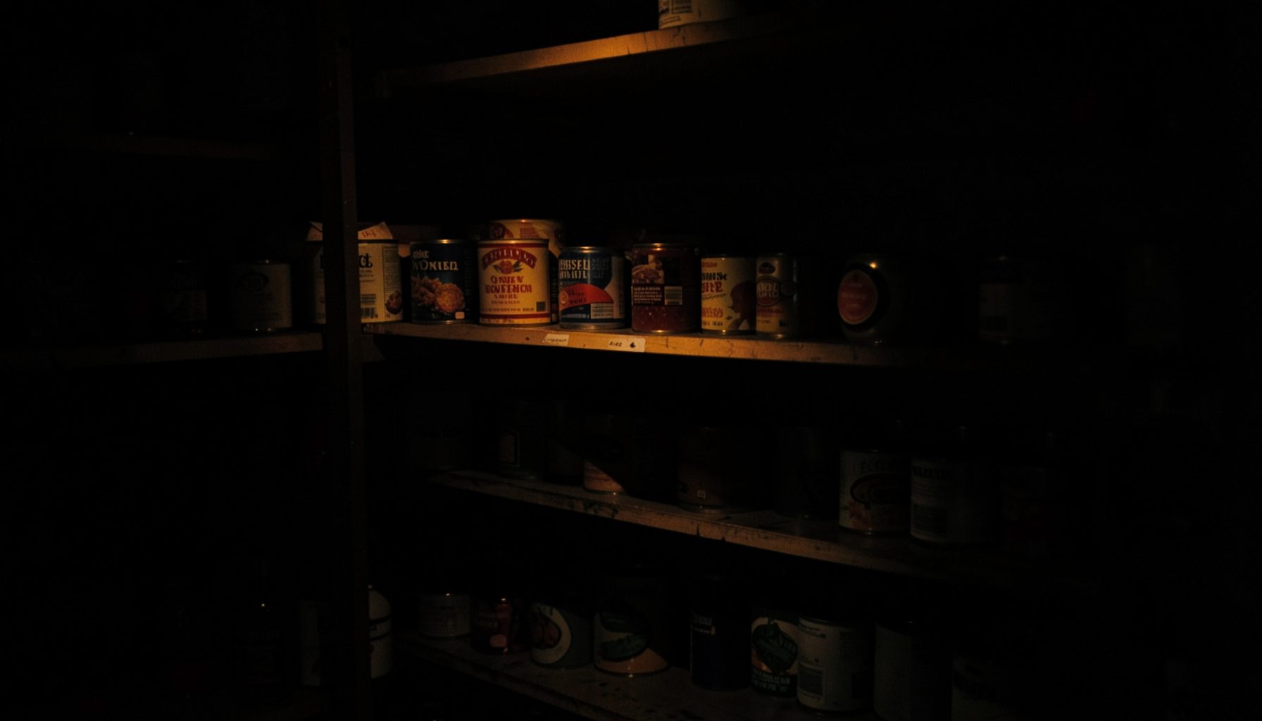Moody low-key image of a community food pantry shelf with canned goods in shadow